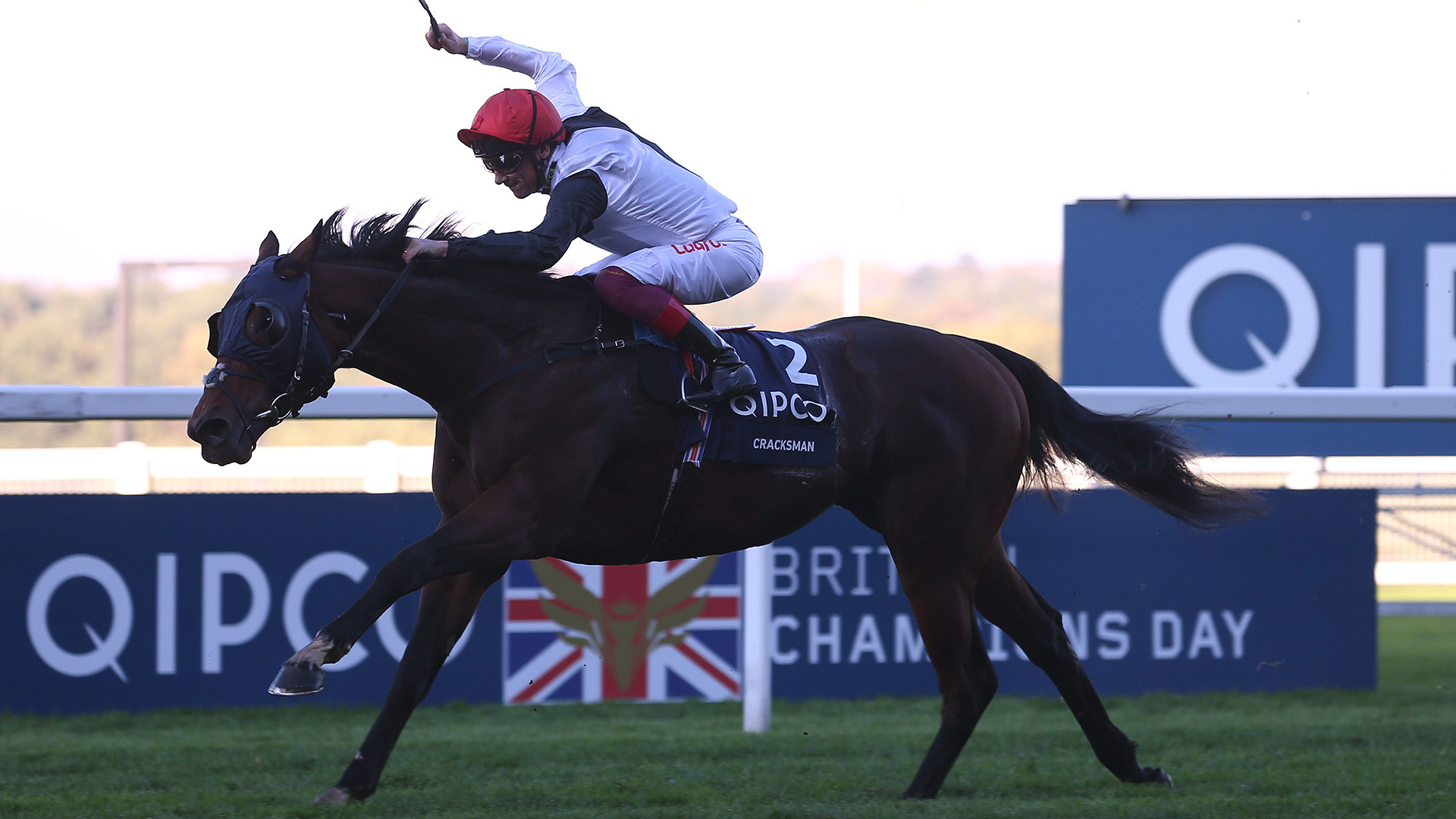 Cracksman and Winx named jointly as the 2018 Longines World s